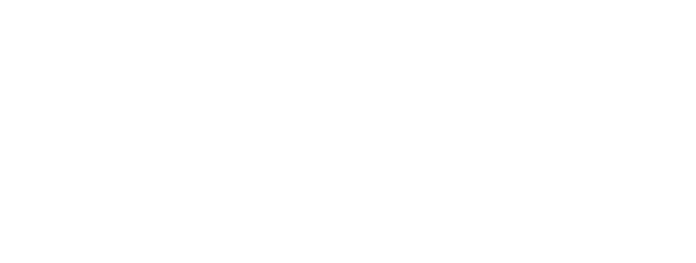 Mistermax Hundevask